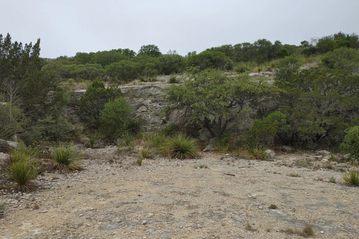 Eaton Hill Nature Center & Preserve photo 1