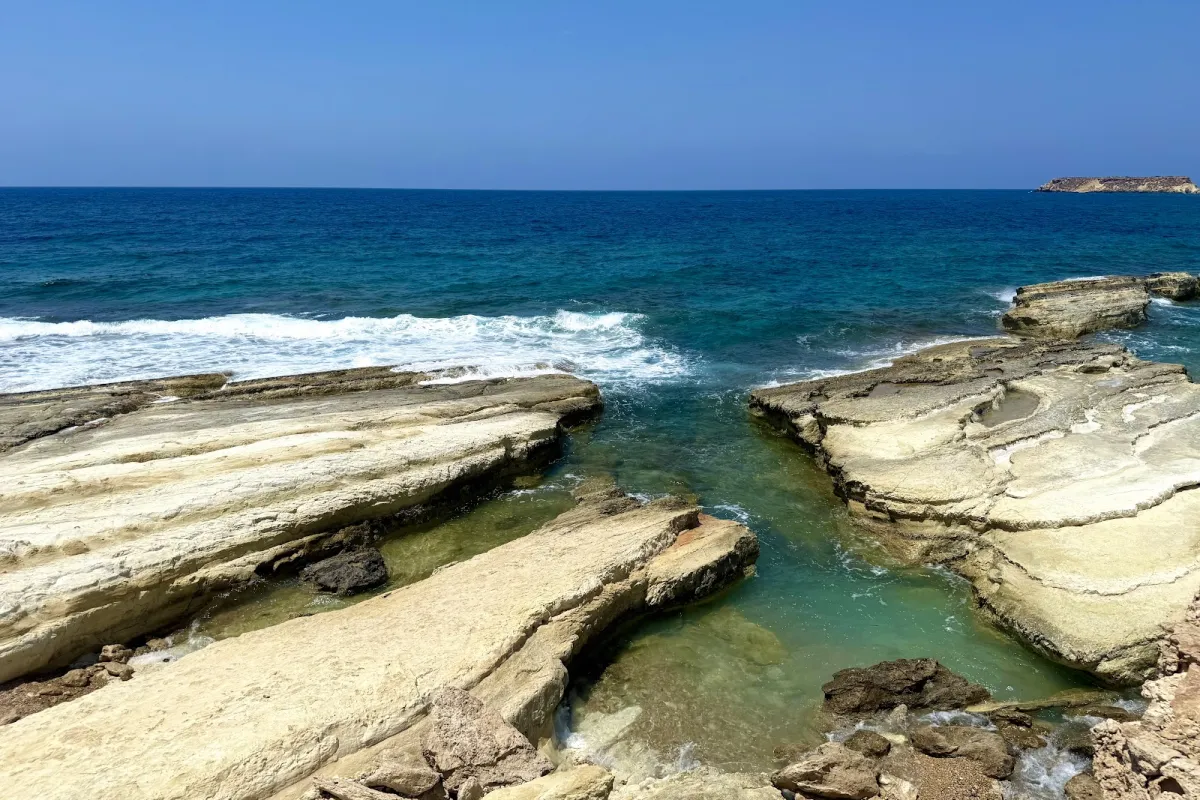 Olive Tree Beach photo 1