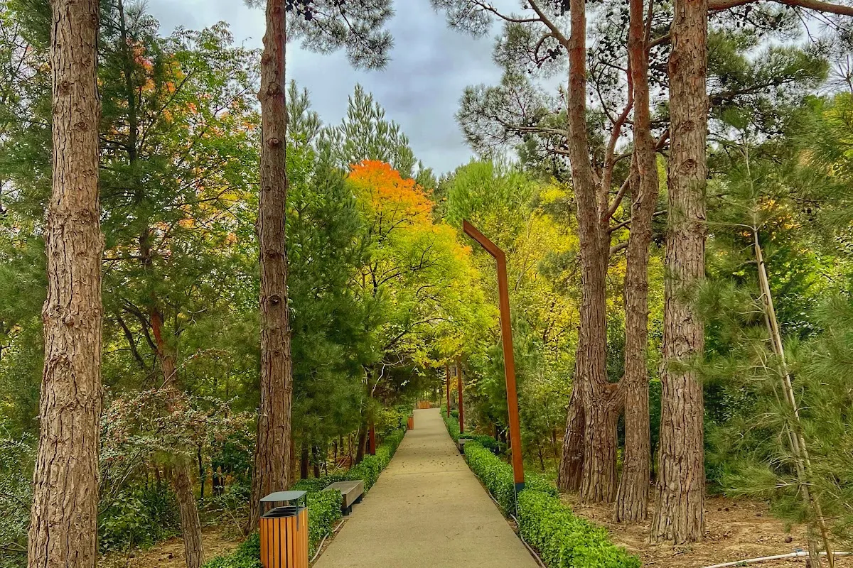 Botanical Garden photo 1