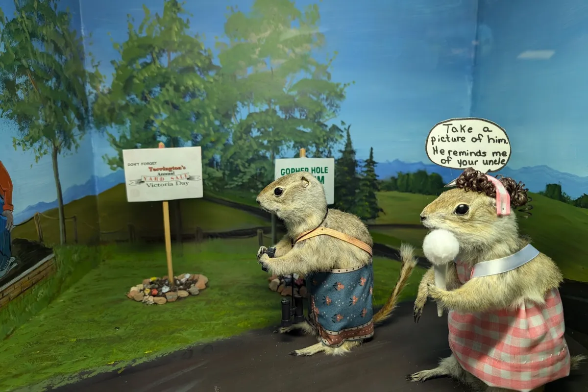 World Famous Gopher Hole Museum photo 1