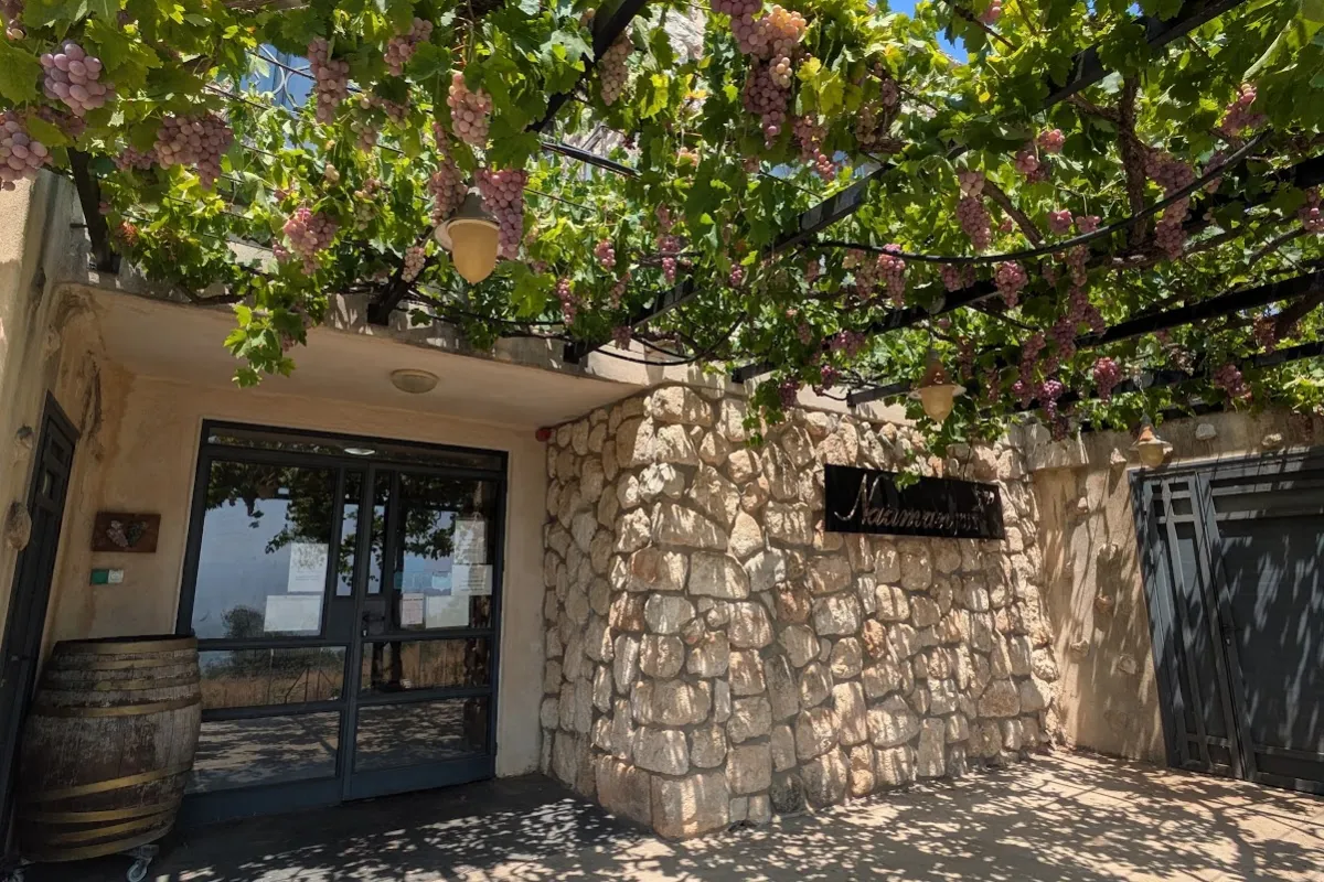 Na'aman Winery יקב נעמן photo 1