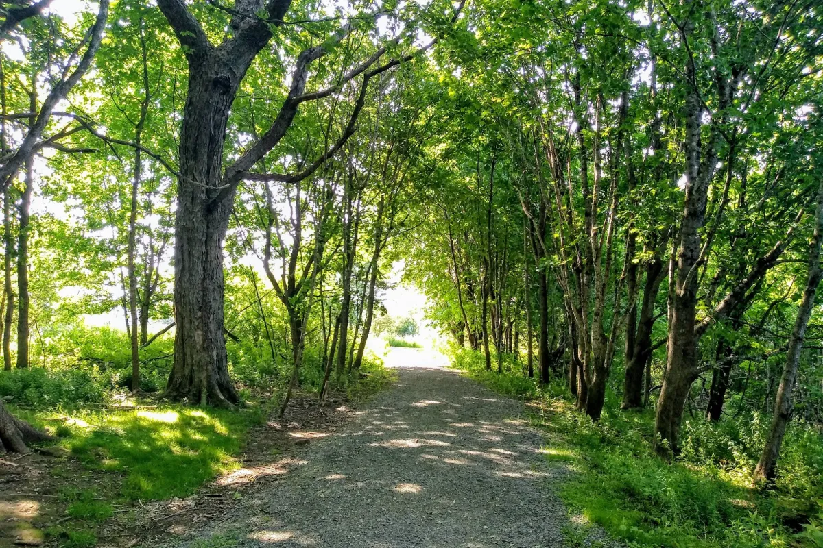 Amherst Point Migratory Bird Sanctuary photo 1