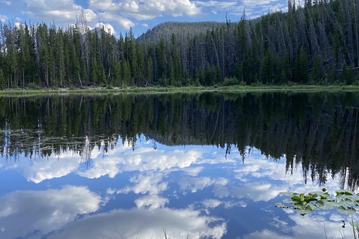 Lily Pad Lake Trail Head photo 1