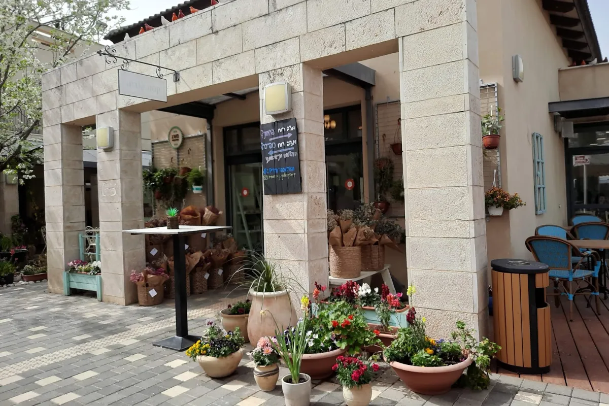 Marag Center photo 1