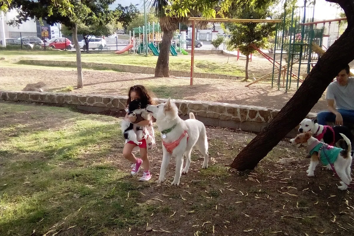 Parque Puerta de Hierro photo 1