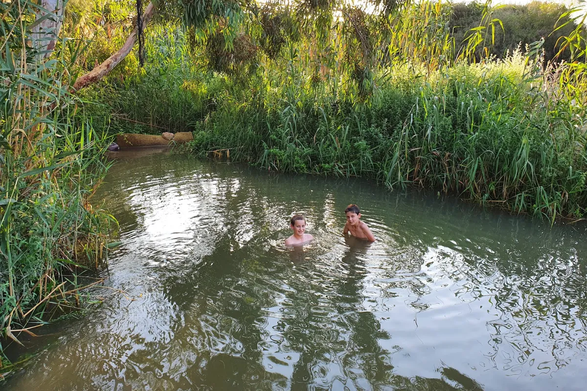 Crab Spring photo 1