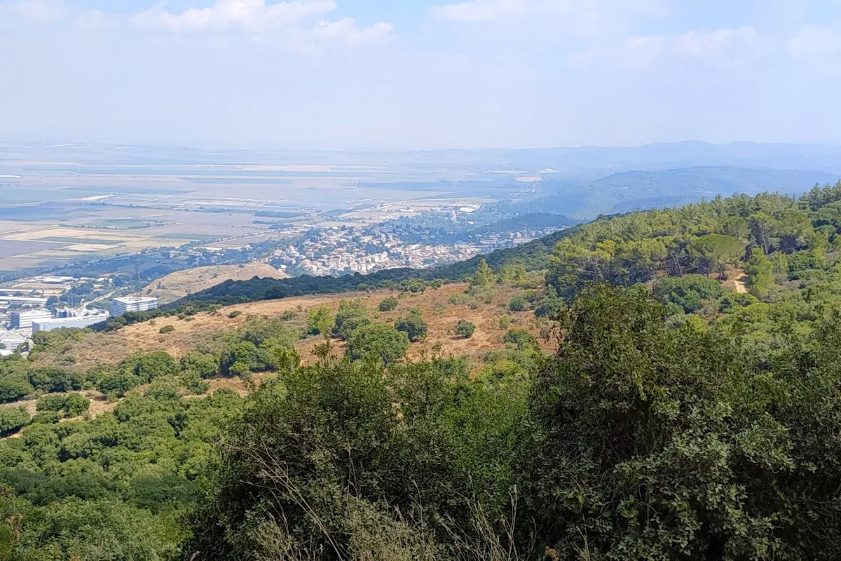 Yokneam High-Tech Park photo 1