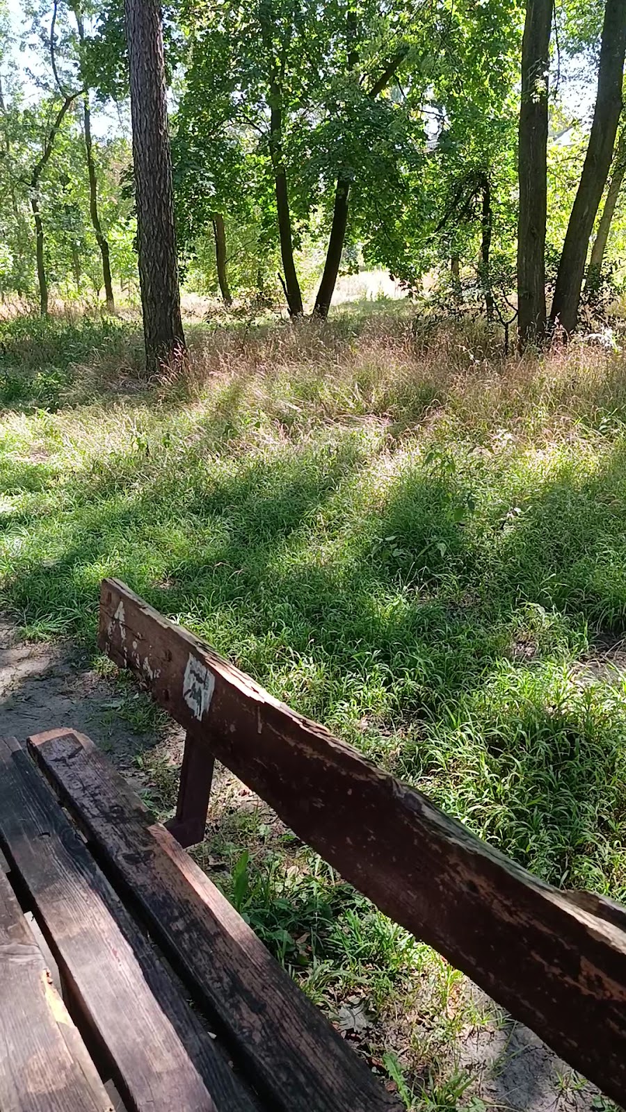 Kyiv Polytechnic Institute Park photo 4
