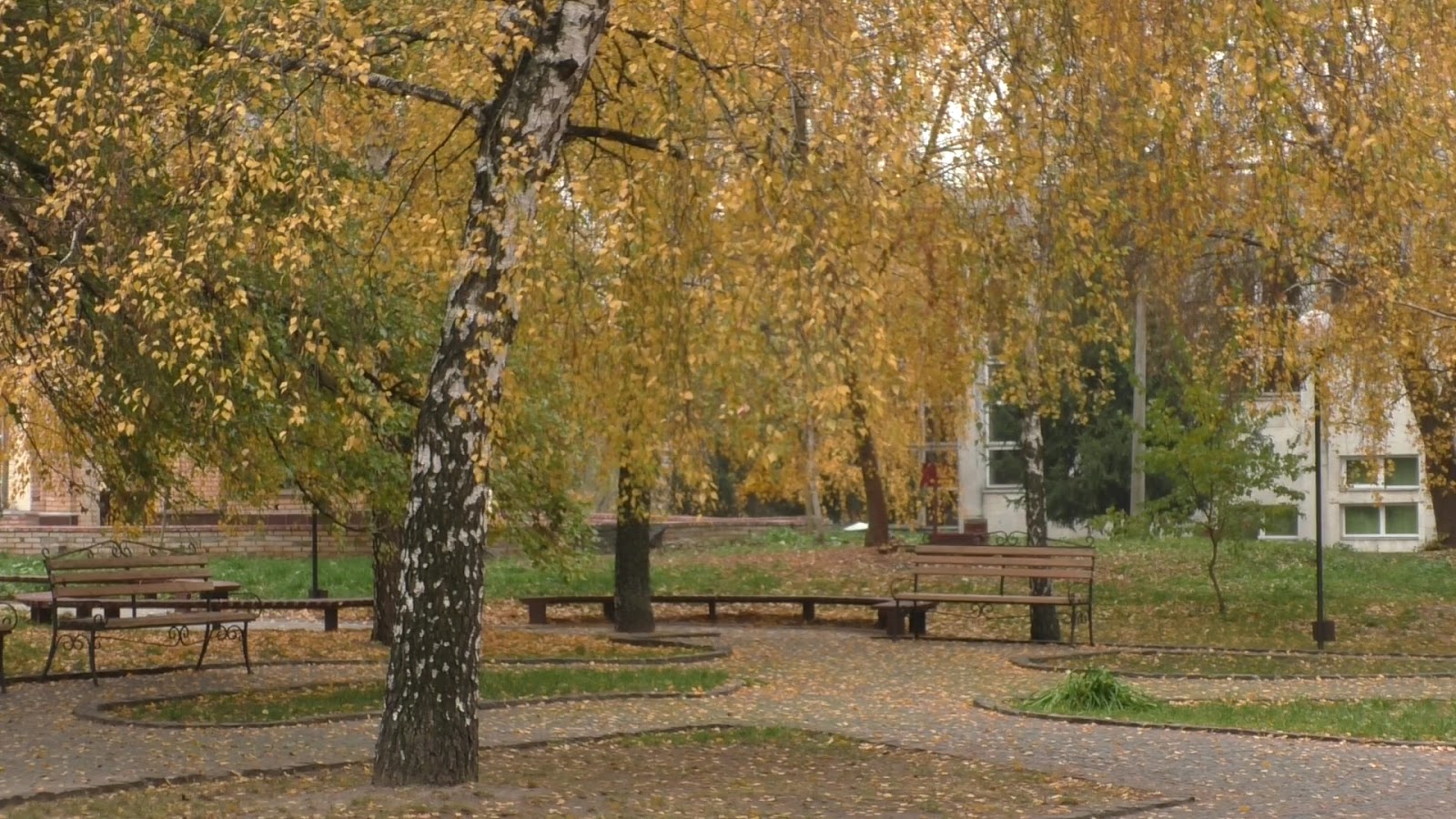 Kyiv Polytechnic Institute Park photo 5