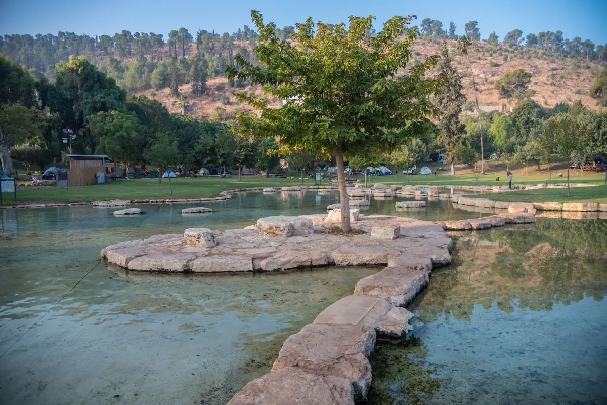 Ma'ayan Harod National Park- Gideon's Spring photo 1