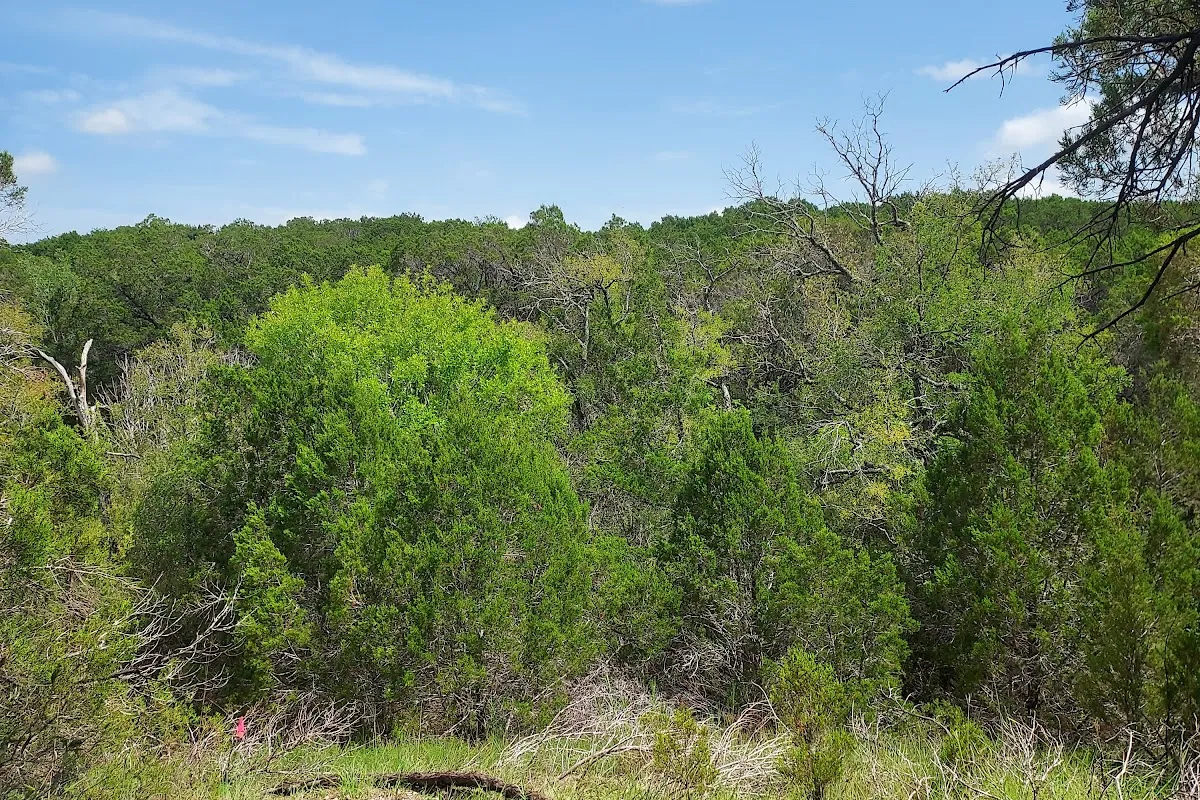 Little Walnut Creek Greenbelt photo 1