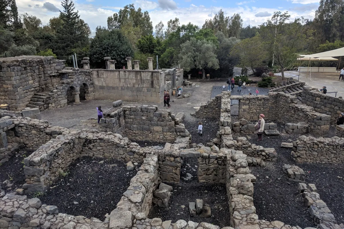 Ancient Katzrin Park photo 1