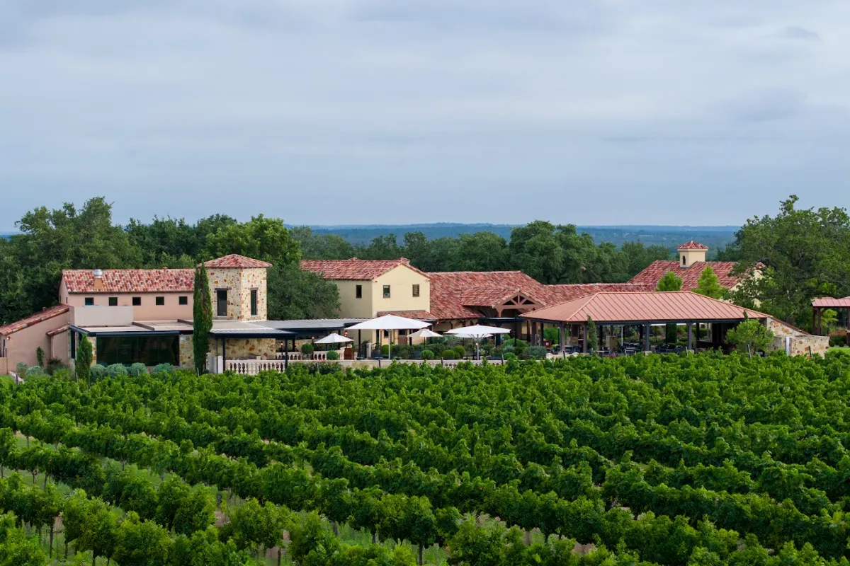 Grape Creek Vineyards photo 1