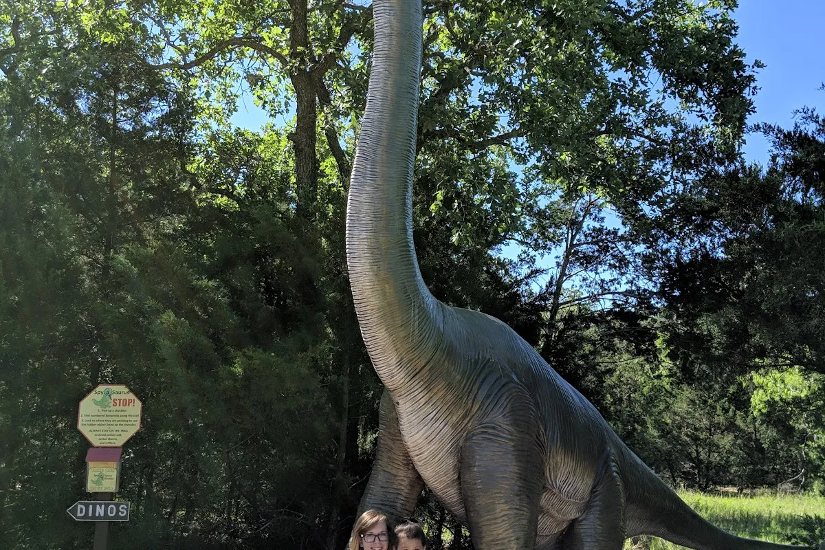 The Dinosaur Park photo 1