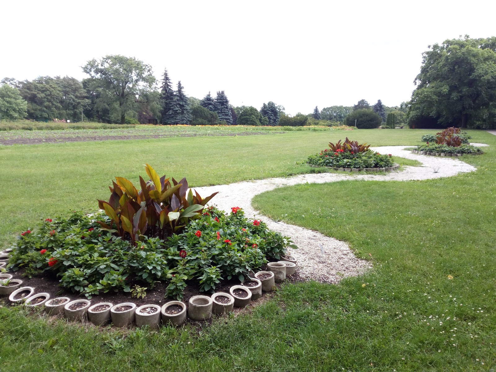 Belarusian Central Botanic Gardens photo 8