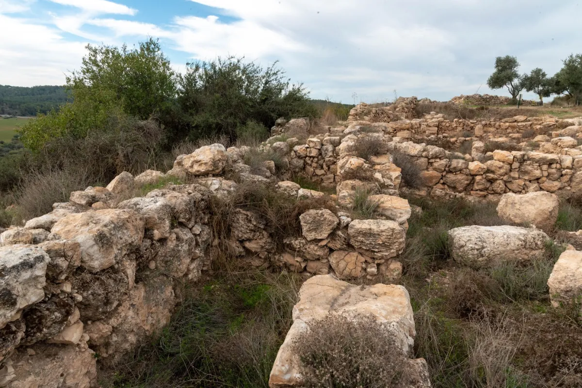 Khirbet Qeiyafa photo 1