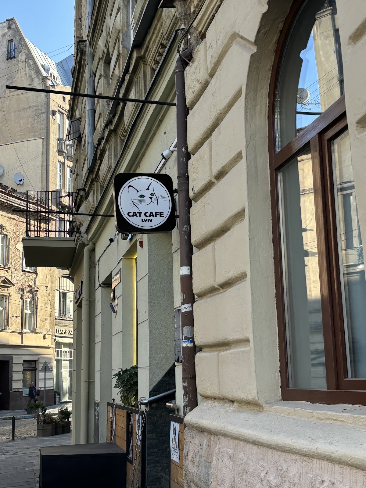 Cat Cafe photo 7