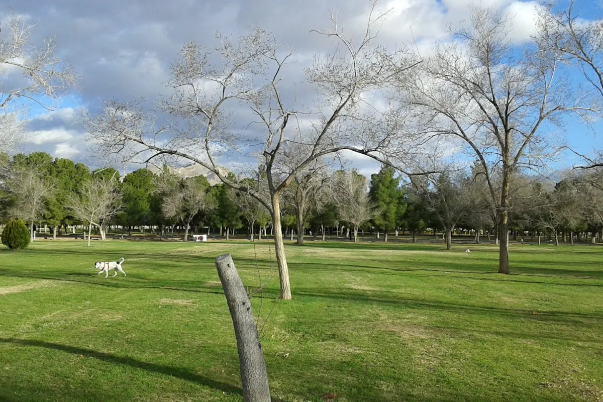 Parque Público Federal El Chamizal photo 1