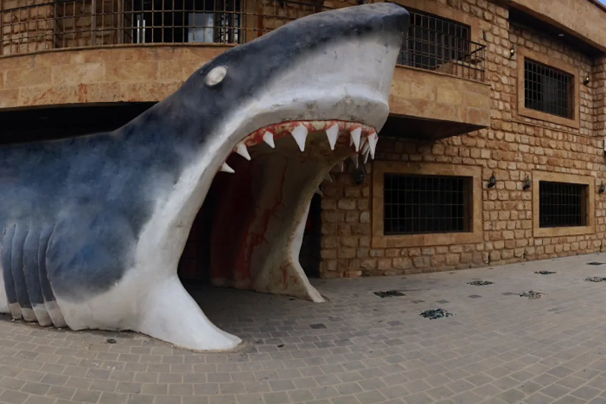 Lebanese Marine and Wildlife Museum photo 1