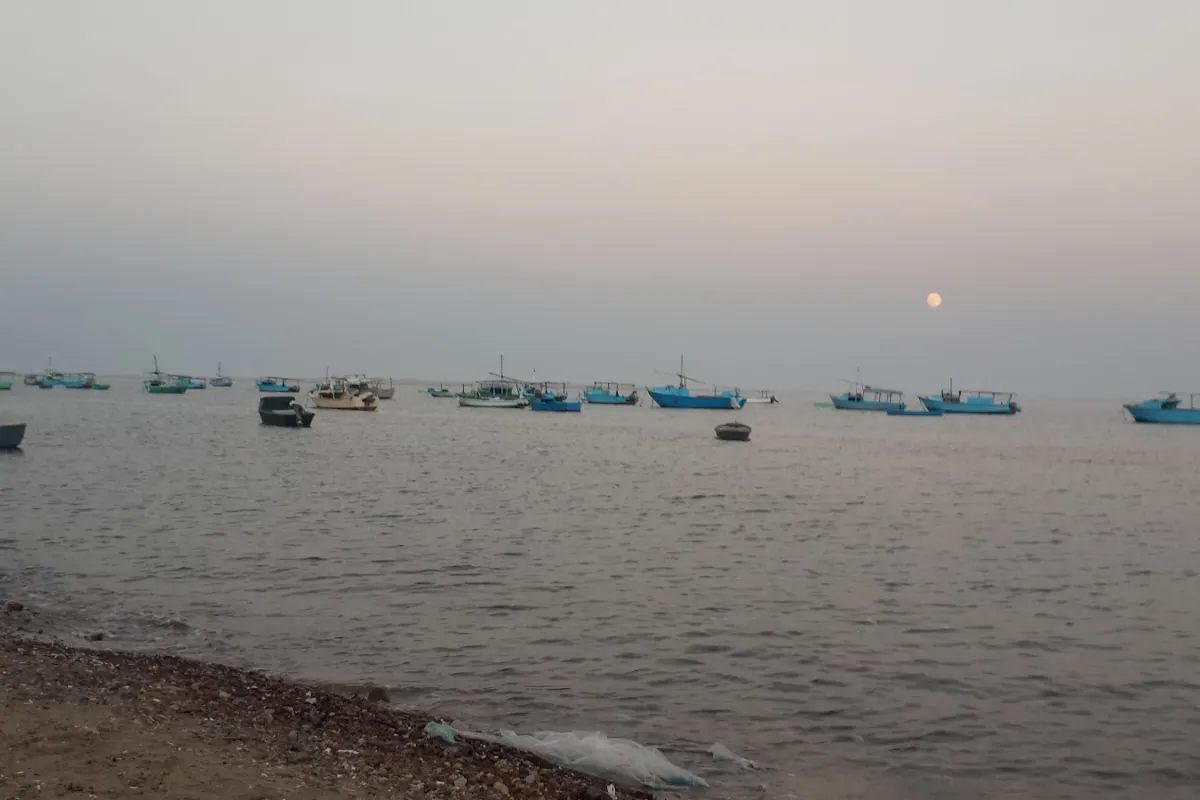 In the city of Safaga Beach photo 1