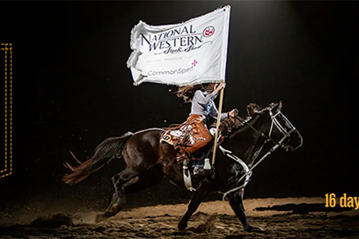 National Western Stock Show photo 1