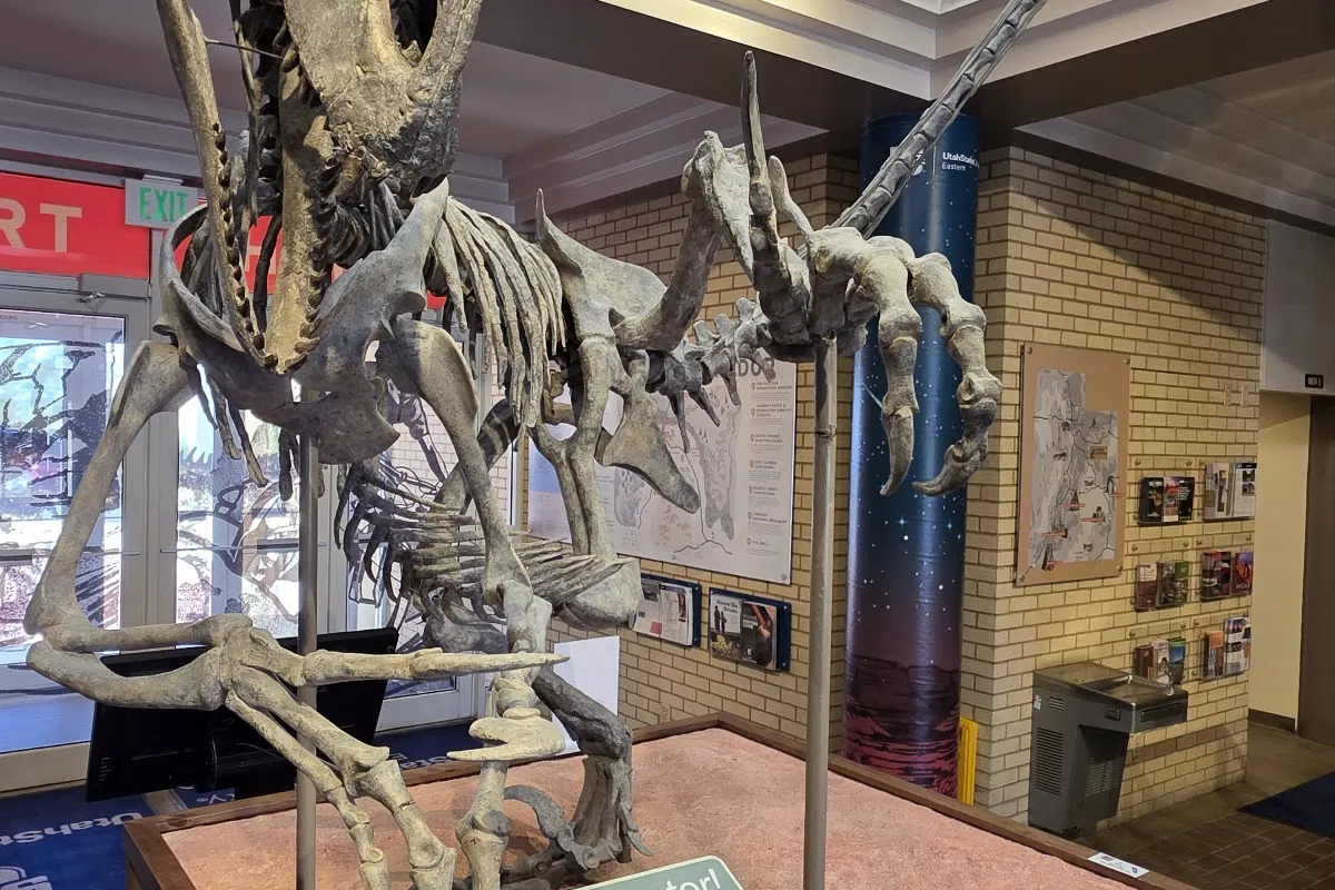 Prehistoric Museum, Utah State University Eastern photo 1