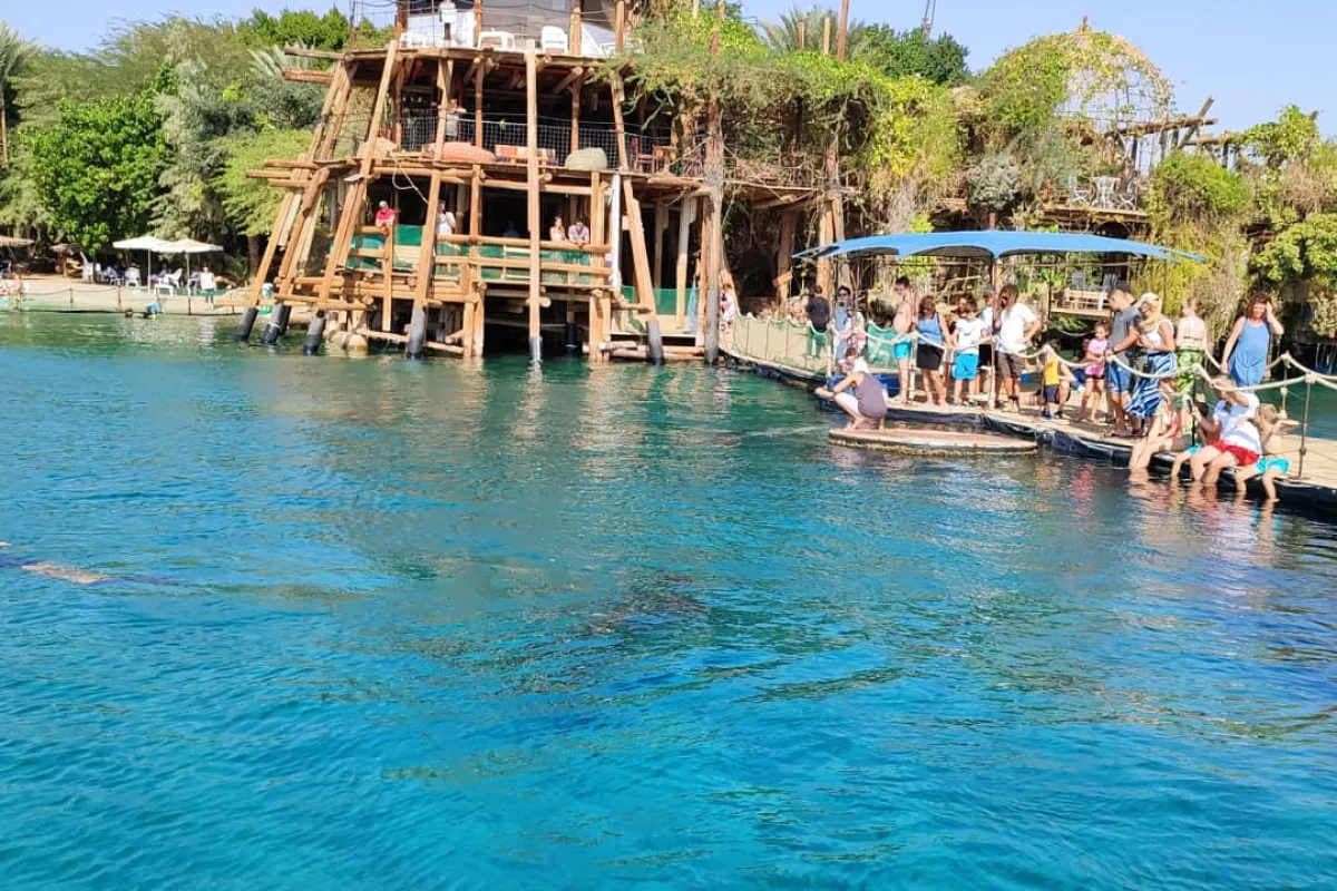 Dolphin Reef photo 1