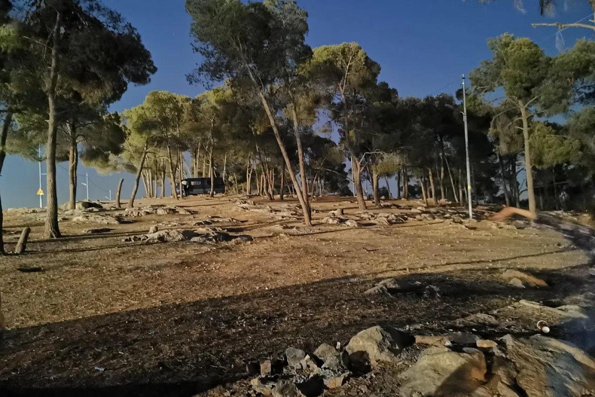 King of Bahrain Kingdom Forest photo 1