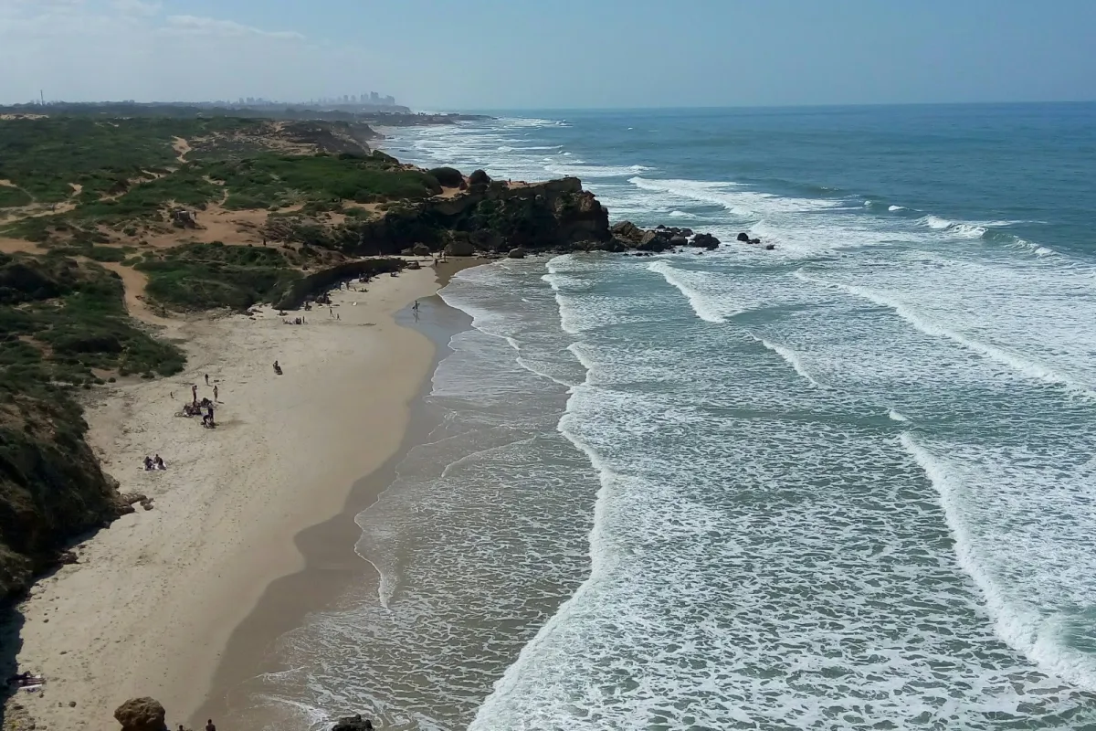 Olga Beach photo 1