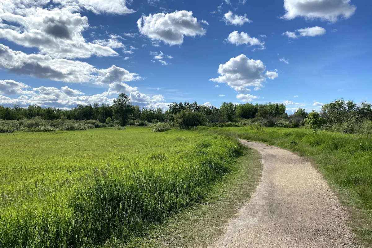 Transcona Bioreserve photo 1