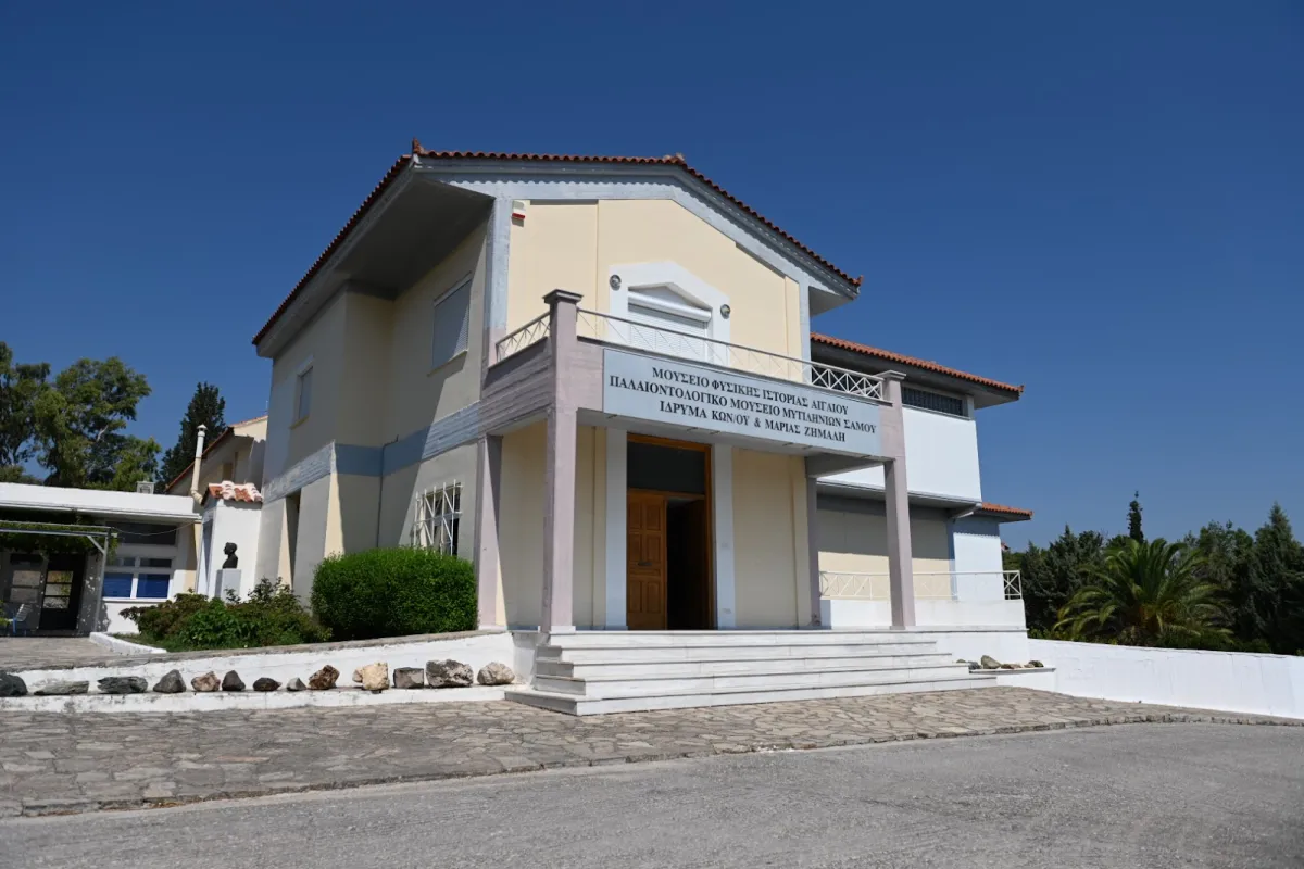 Μουσείο Φυσικής Ιστορίας Αιγαίου photo 1