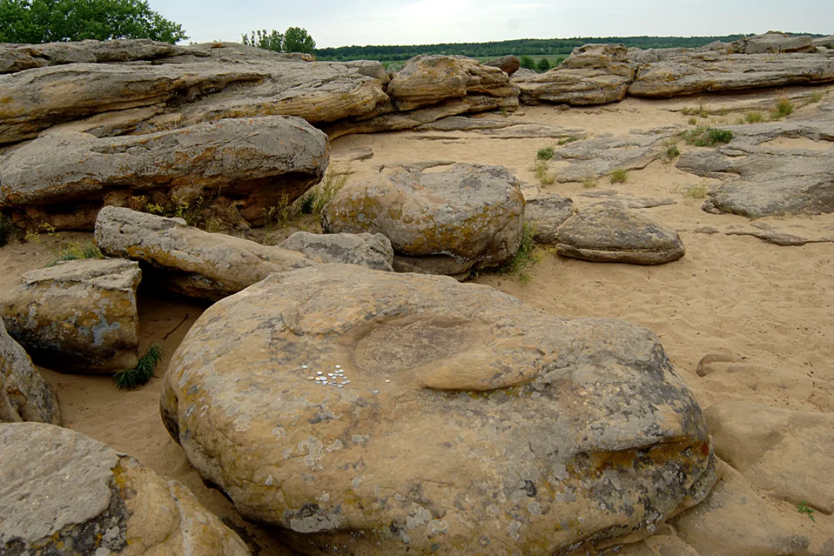 Natsionalʹnyy Istoryko-Arkheolohichnyy Zapovidnyk "Kam'yana Mohyla" photo 1