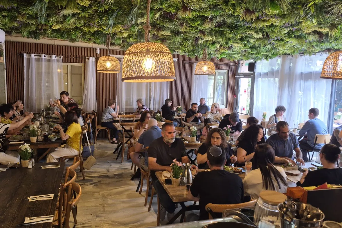 Café Feinberg photo 1