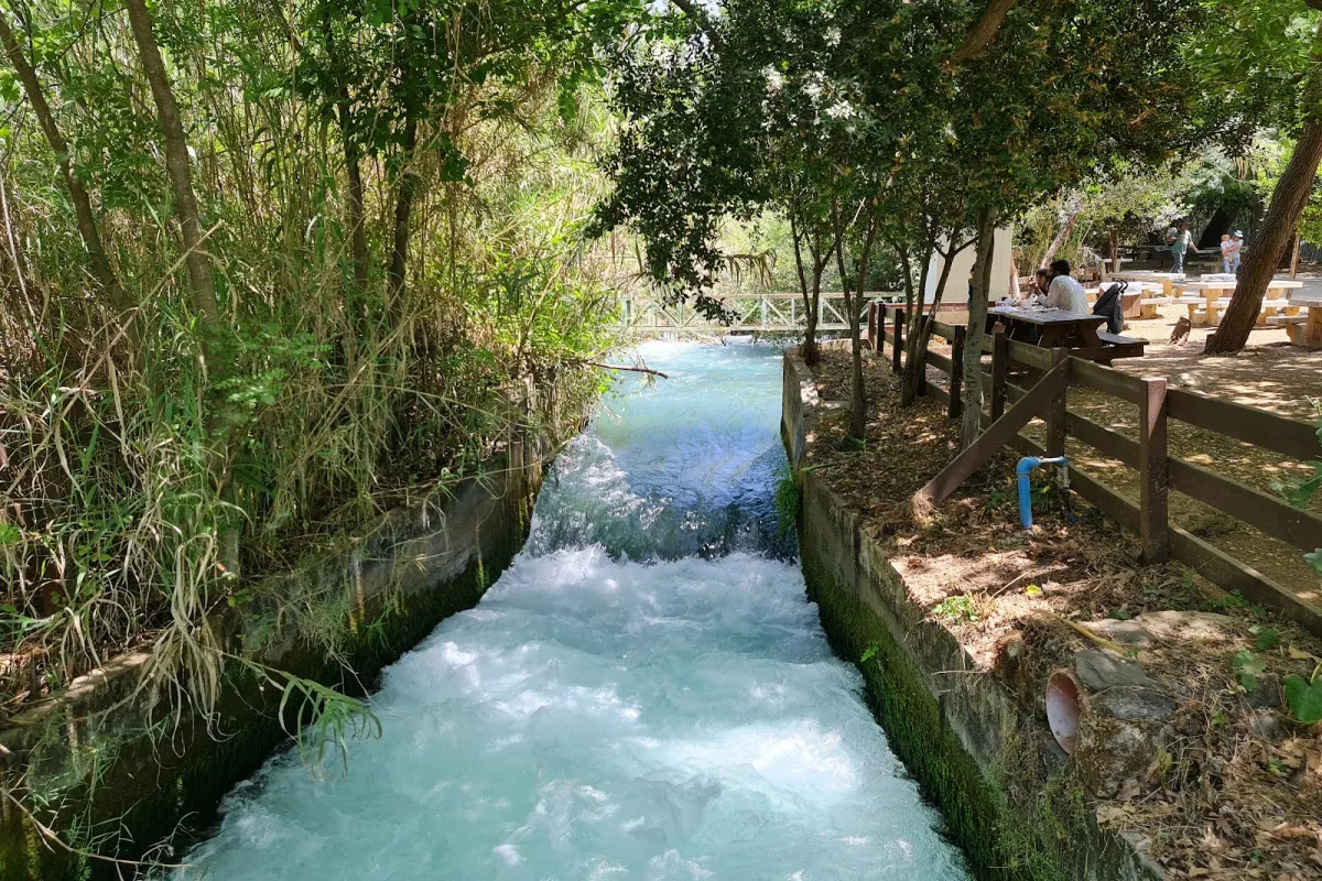 Tel Dan Nature Reserve photo 1