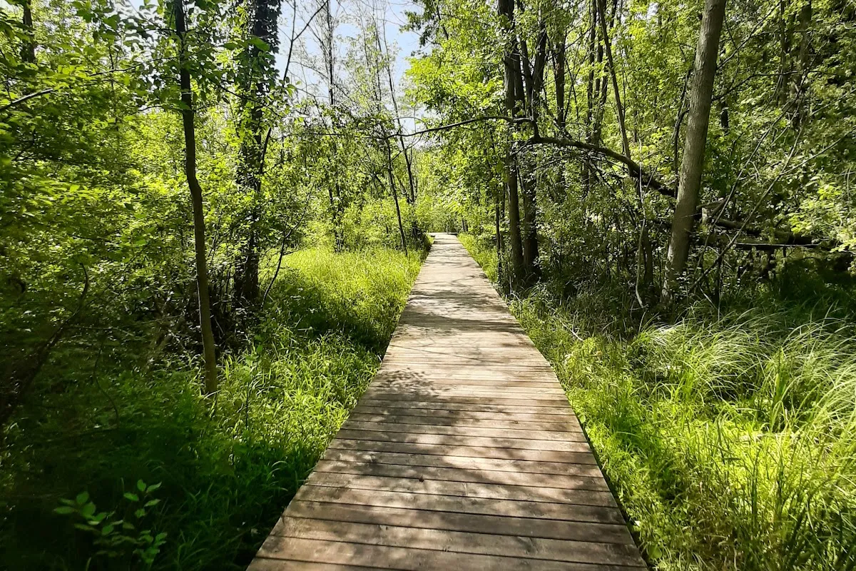 Heckrodt Wetland Reserve photo 1
