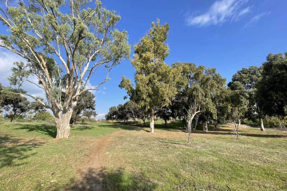 Yarkon Park photo 1