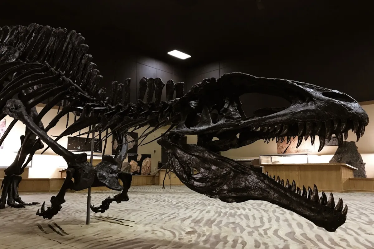 Tumbler Ridge Museum photo 1