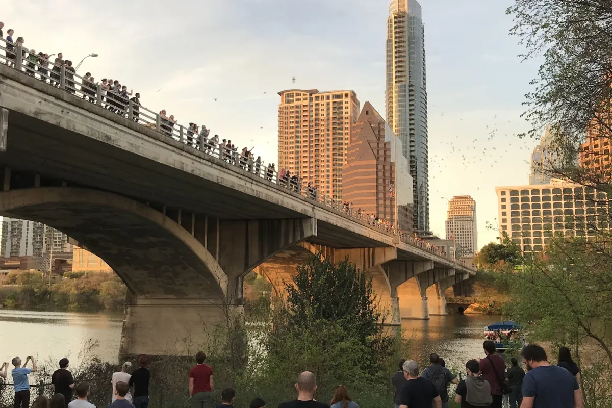 Statesman Bat Observation Center photo 1