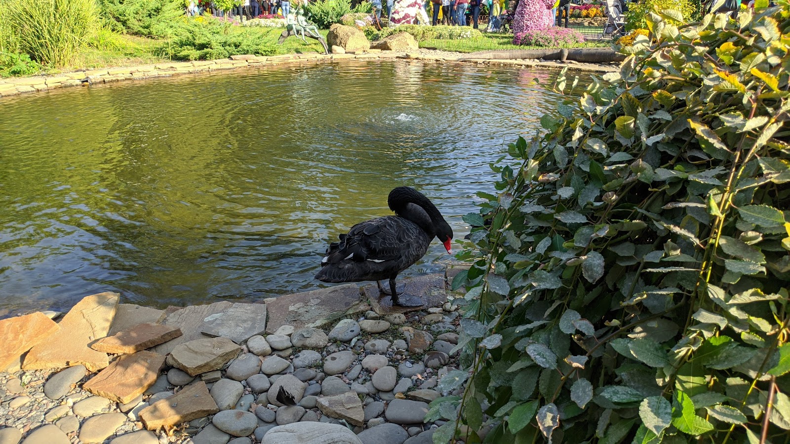 Feldman Ecopark photo 6