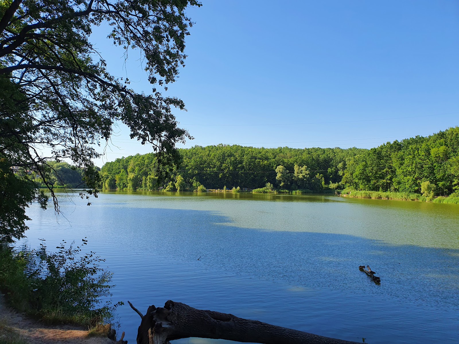 Feldman Ecopark photo 2