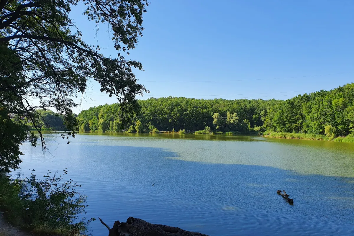Feldman Ecopark photo 1