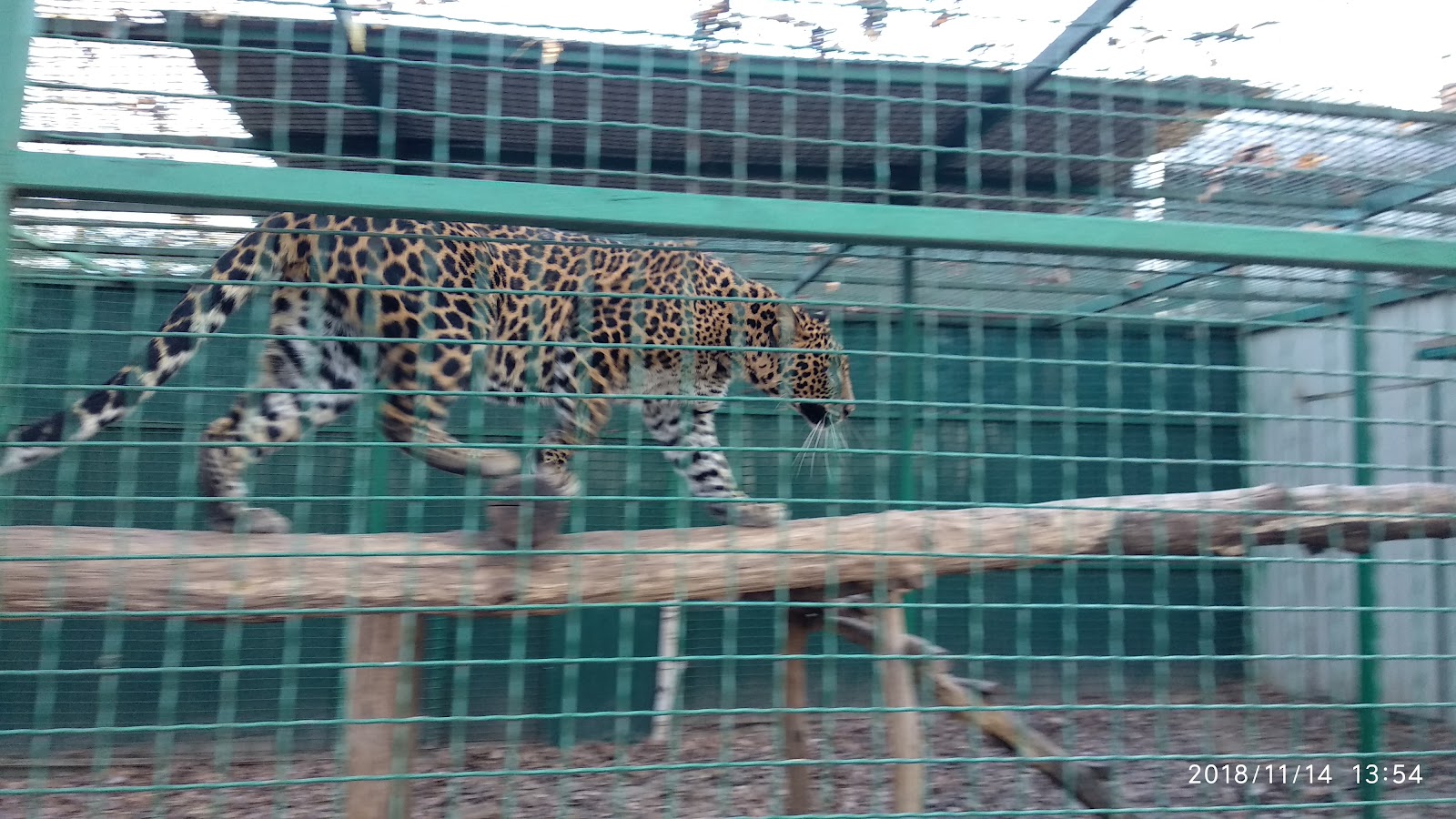 Feldman Ecopark photo 10