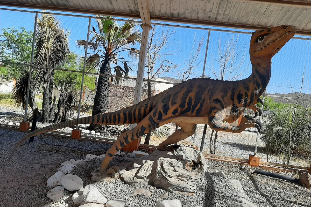 Museo de Paleontología Rincón Colorado photo 1