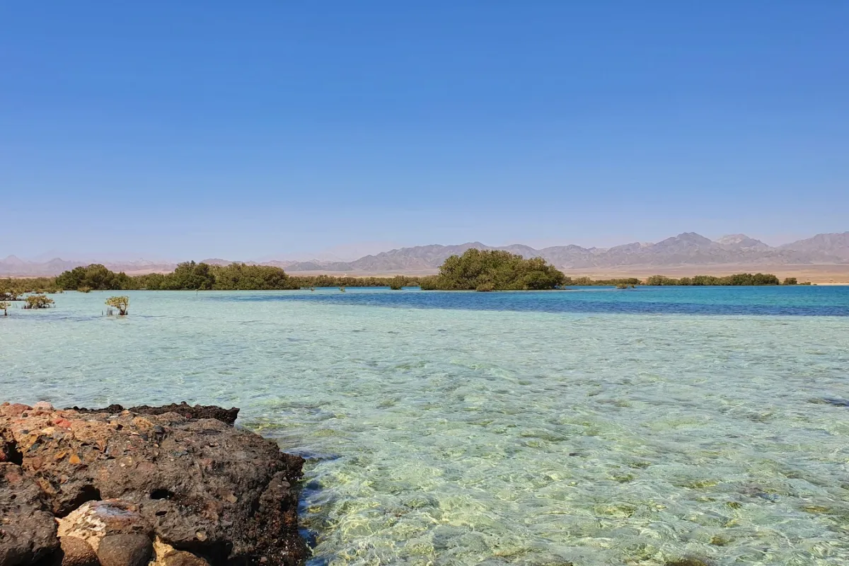 Nabq Nature Reserve photo 1