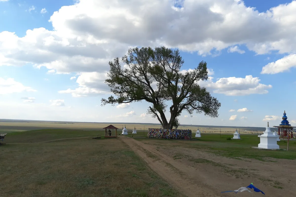 Odinokiy Topol' S Kaskadom Rodnikov photo 1