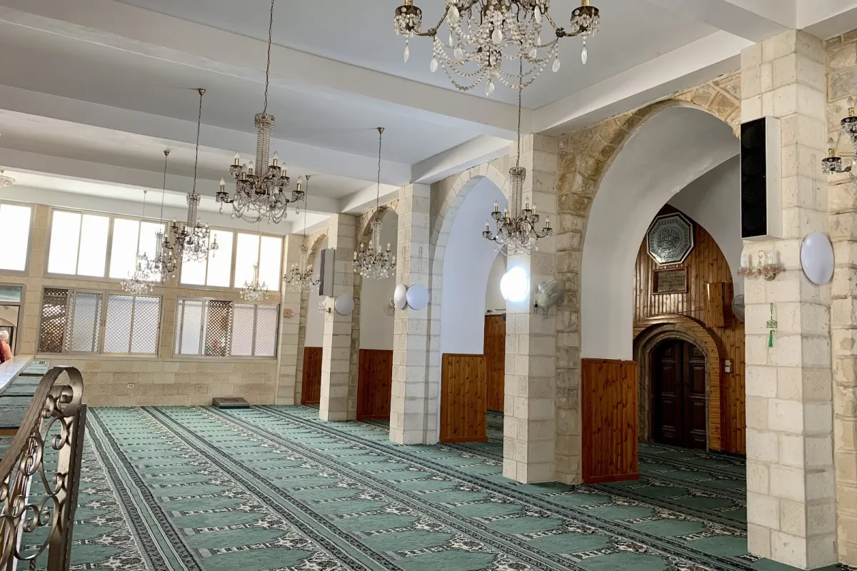 White Mosque photo 1