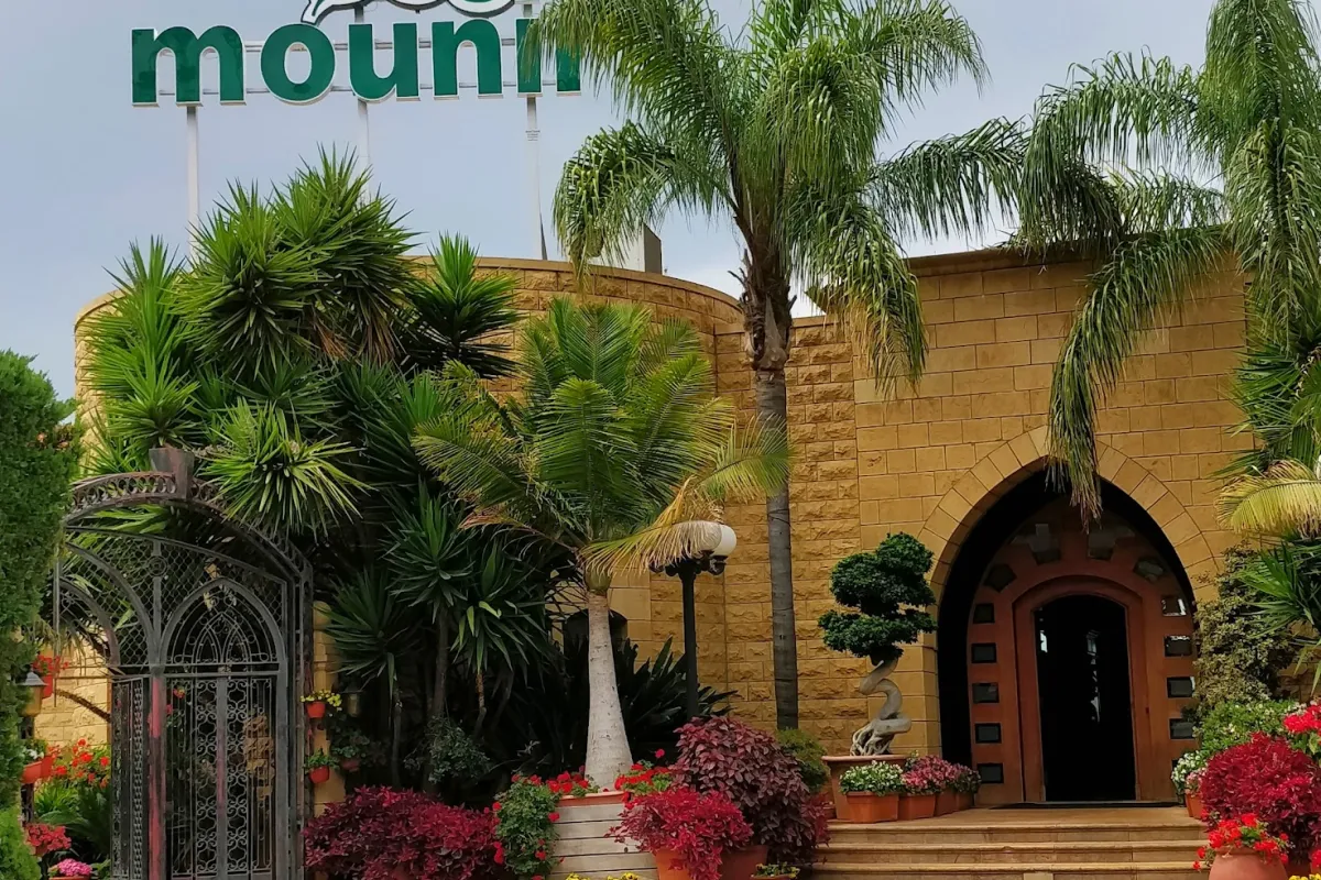 Mounir photo 1