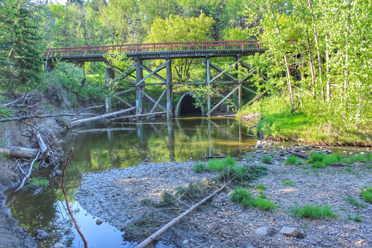 Mill Creek Ravine photo 1