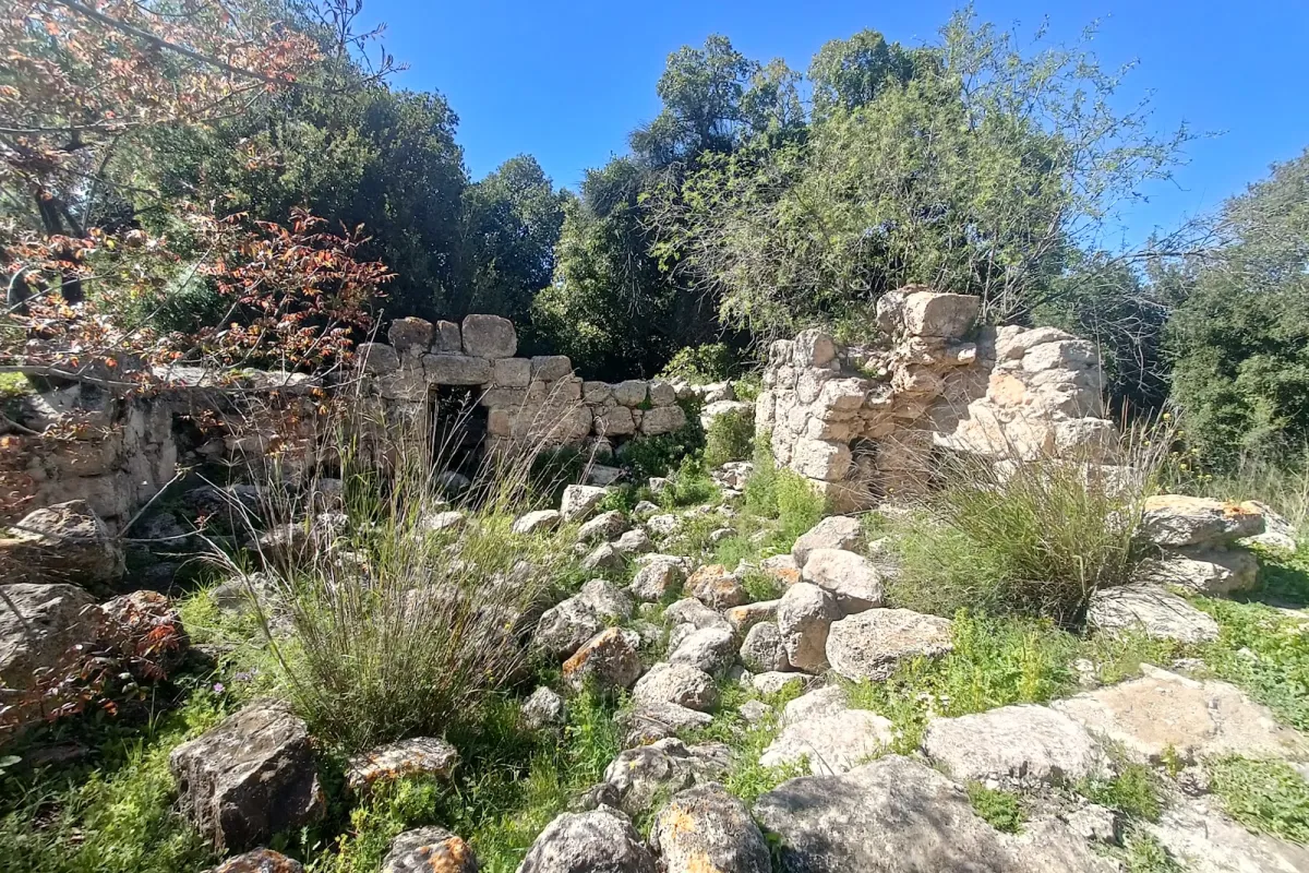 Khurvat (Ruin) Se'adim photo 1