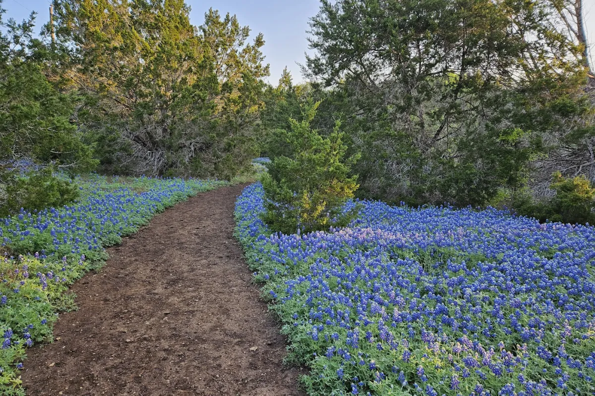 St. Edward's Greenbelt photo 1